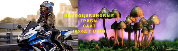 дмт Баксан