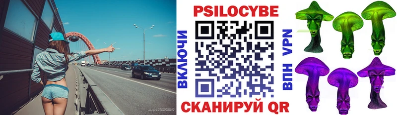 Псилоцибиновые грибы Psilocybe  Мезень 